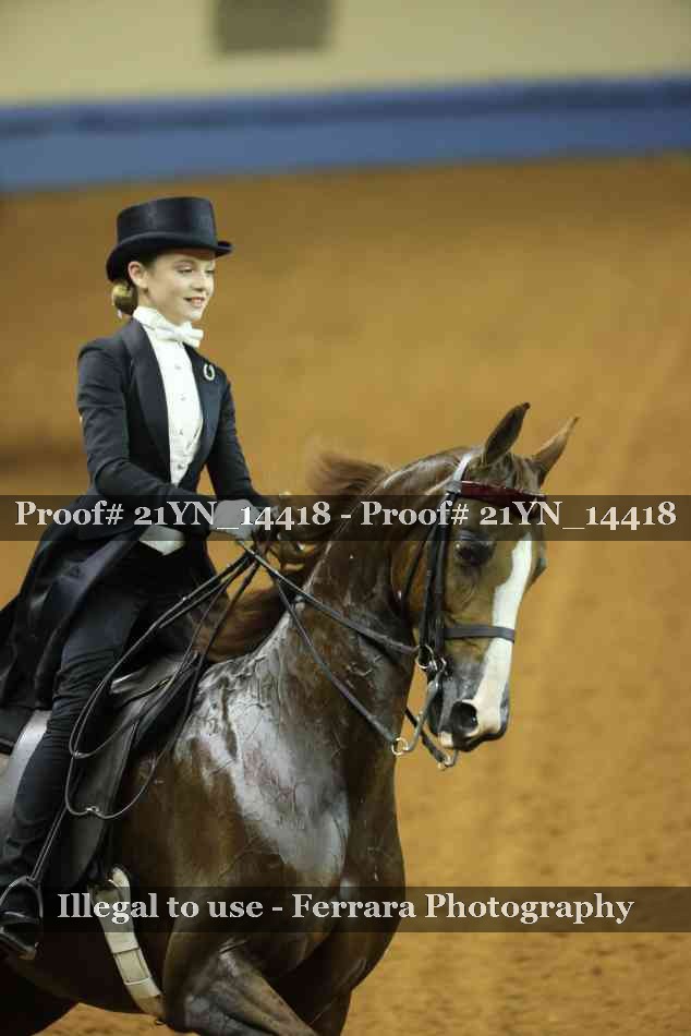 Proof 21YN_14418