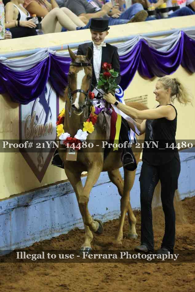 Proof 21YN_14480