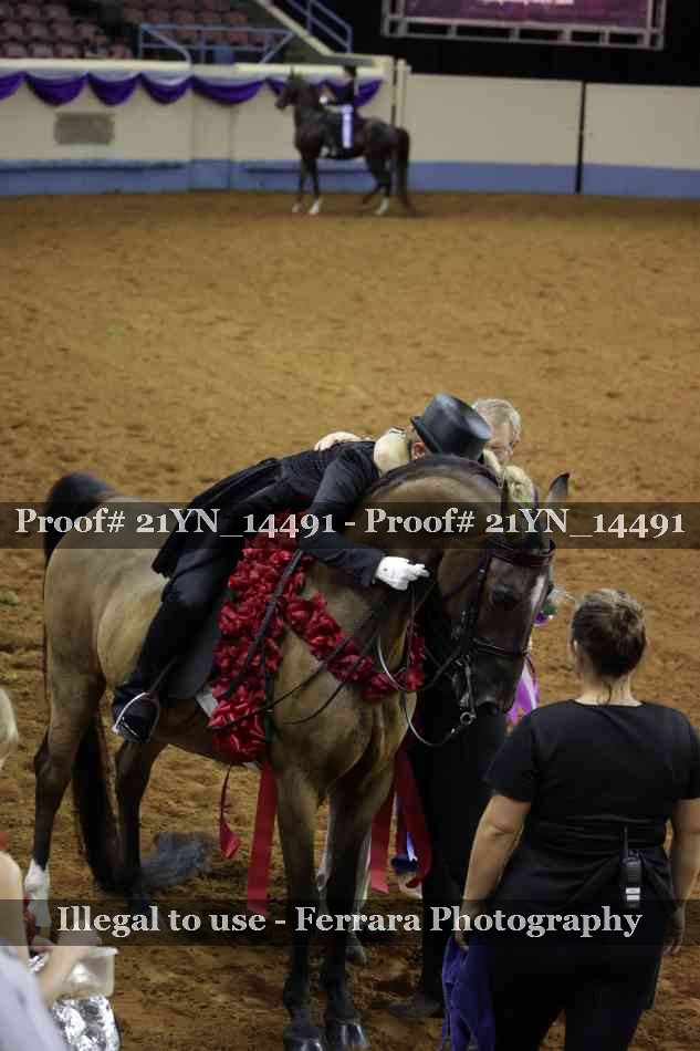 Proof 21YN_14491