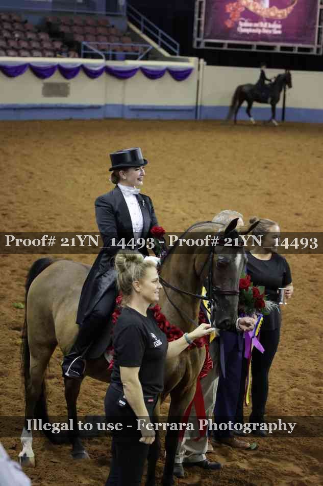 Proof 21YN_14493