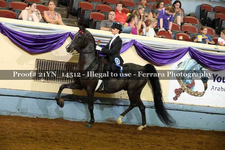 Proof 21YN_14512