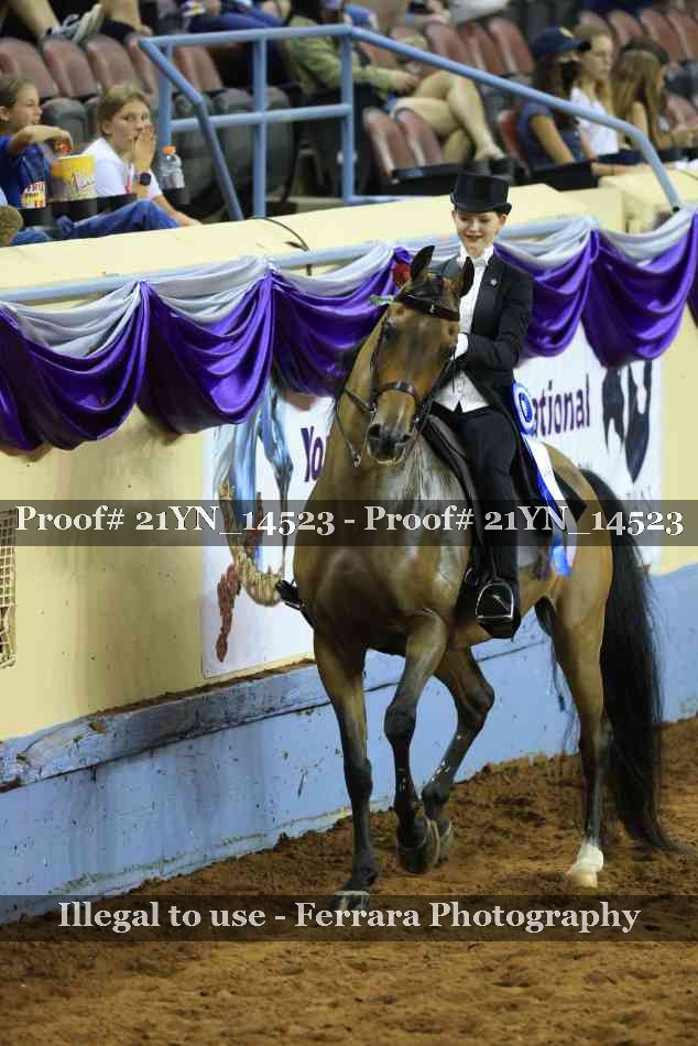 Proof 21YN_14523