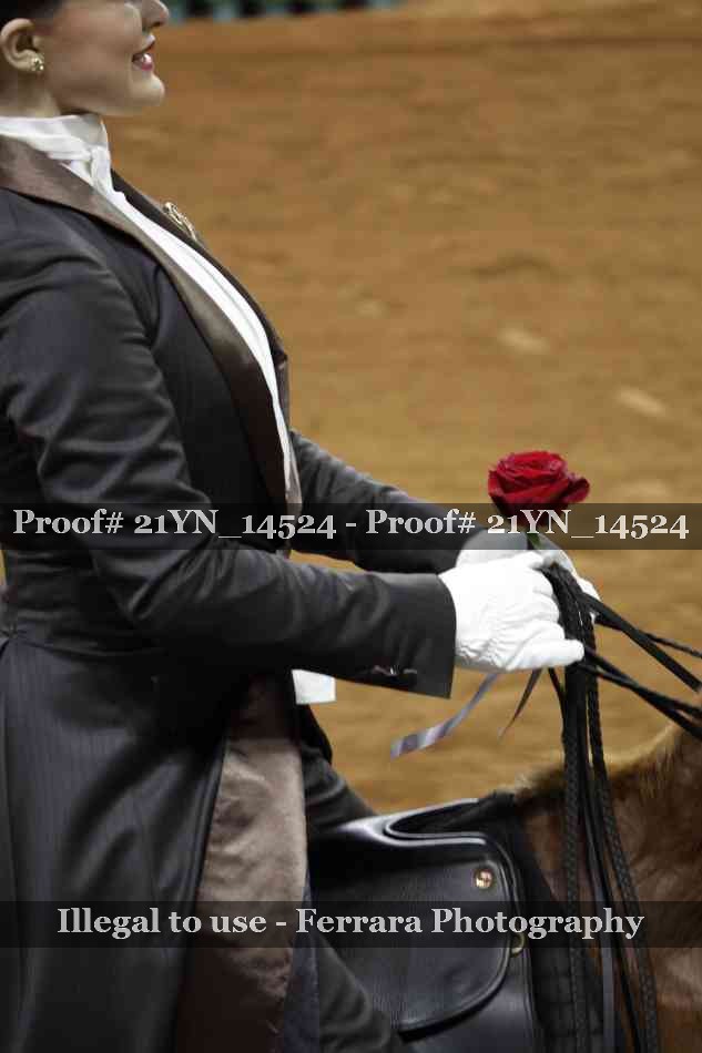 Proof 21YN_14524