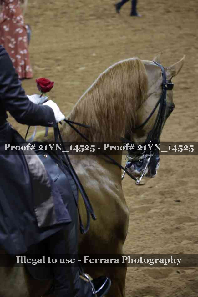 Proof 21YN_14525
