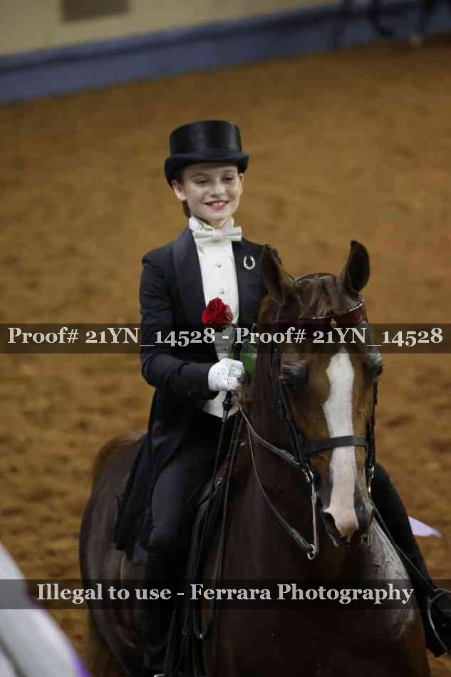 Proof 21YN_14528