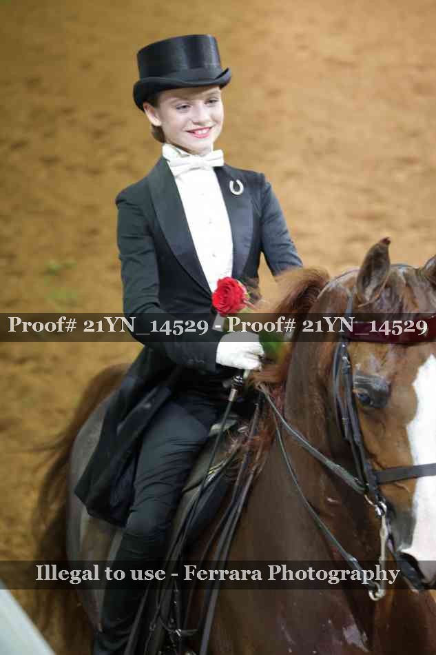 Proof 21YN_14529