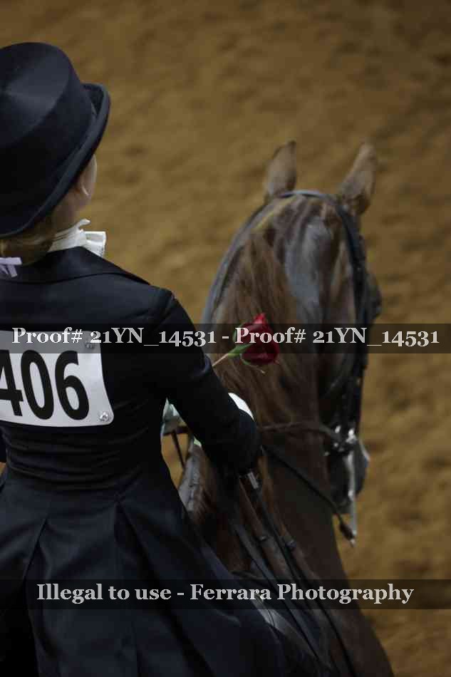Proof 21YN_14531
