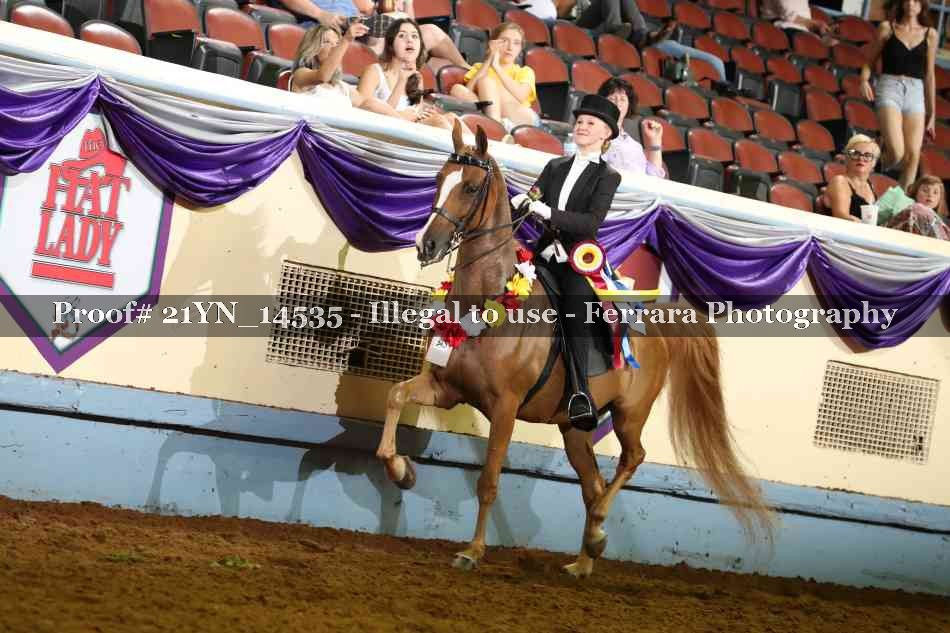 Proof 21YN_14535