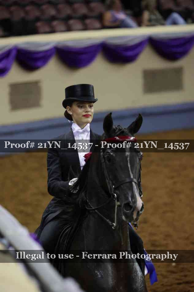 Proof 21YN_14537