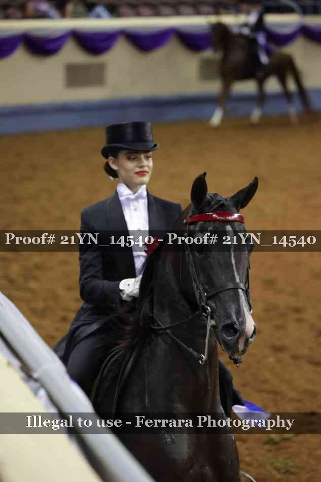 Proof 21YN_14540