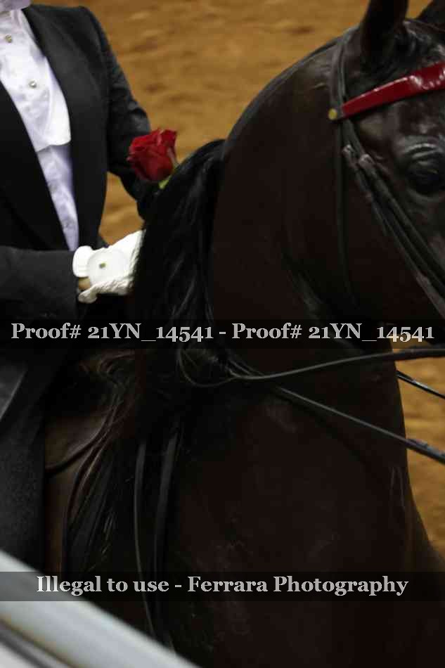 Proof 21YN_14541