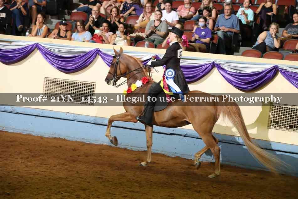 Proof 21YN_14543