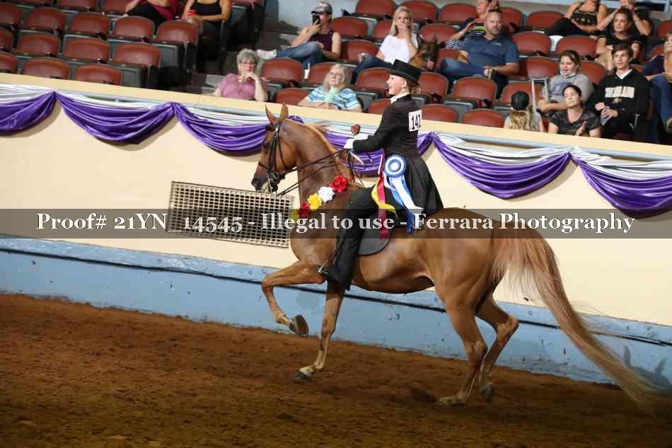 Proof 21YN_14545