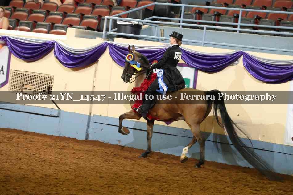 Proof 21YN_14547