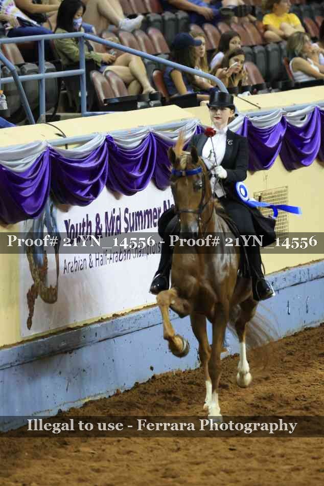 Proof 21YN_14556