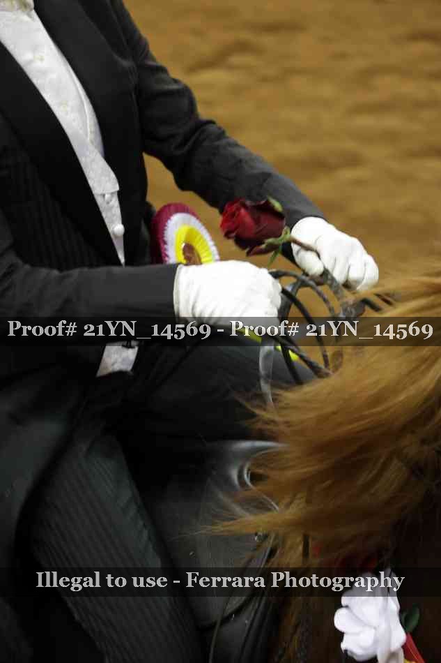 Proof 21YN_14569