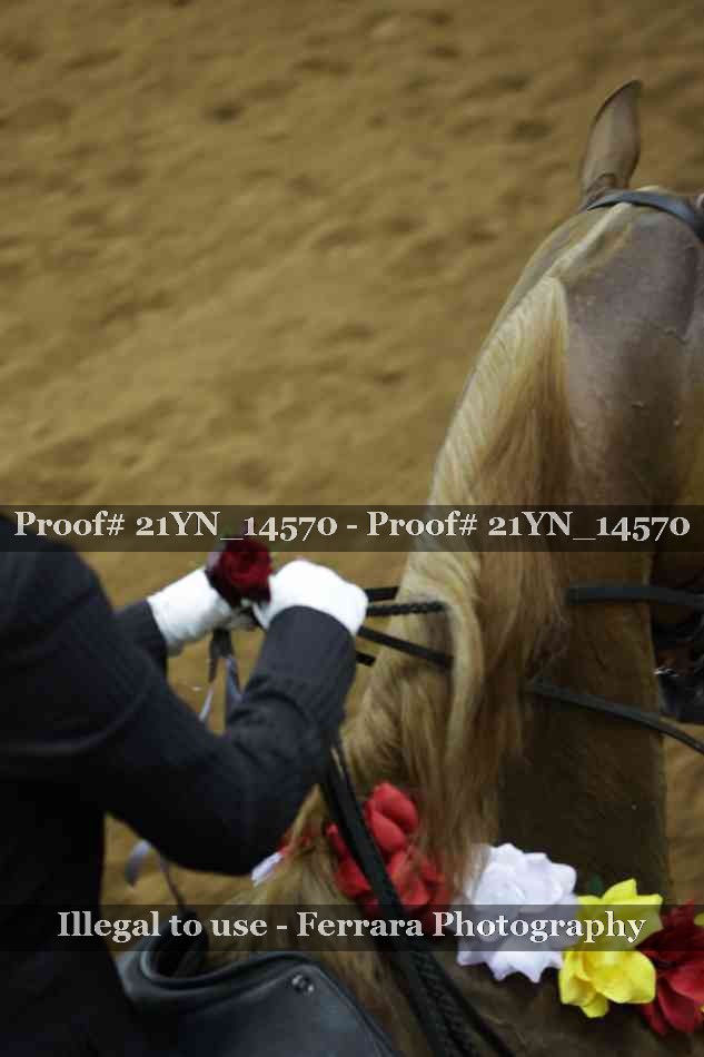 Proof 21YN_14570