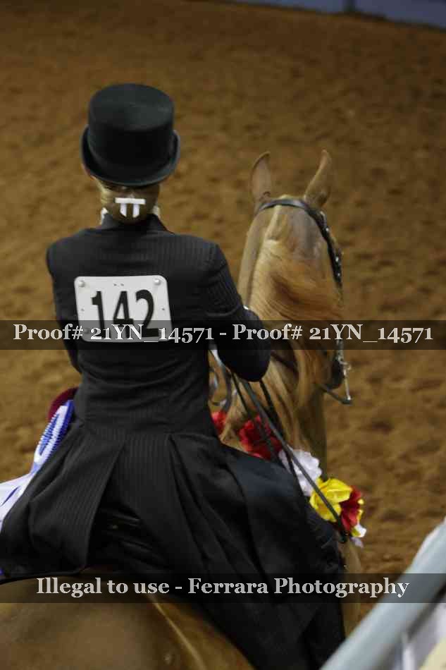Proof 21YN_14571