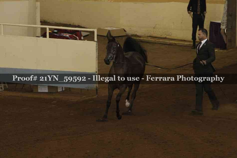 Proof 21YN_59592