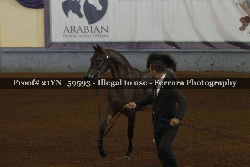 Proof 21YN_59593