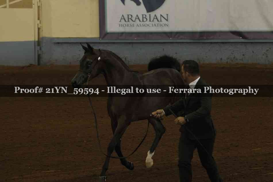 Proof 21YN_59594