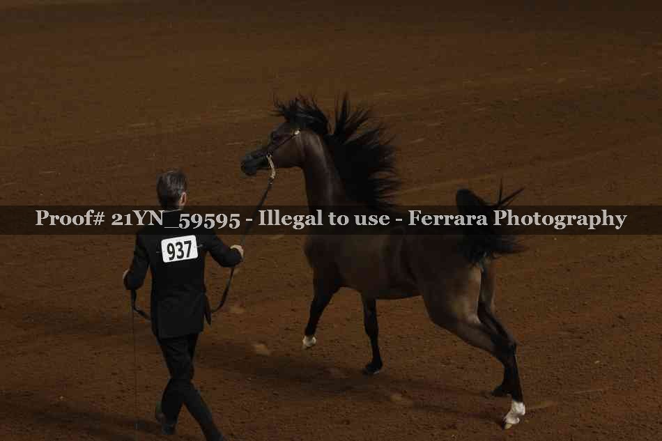 Proof 21YN_59595