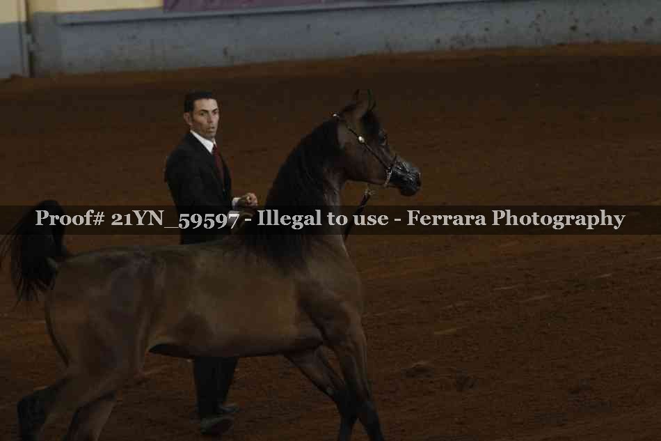 Proof 21YN_59597