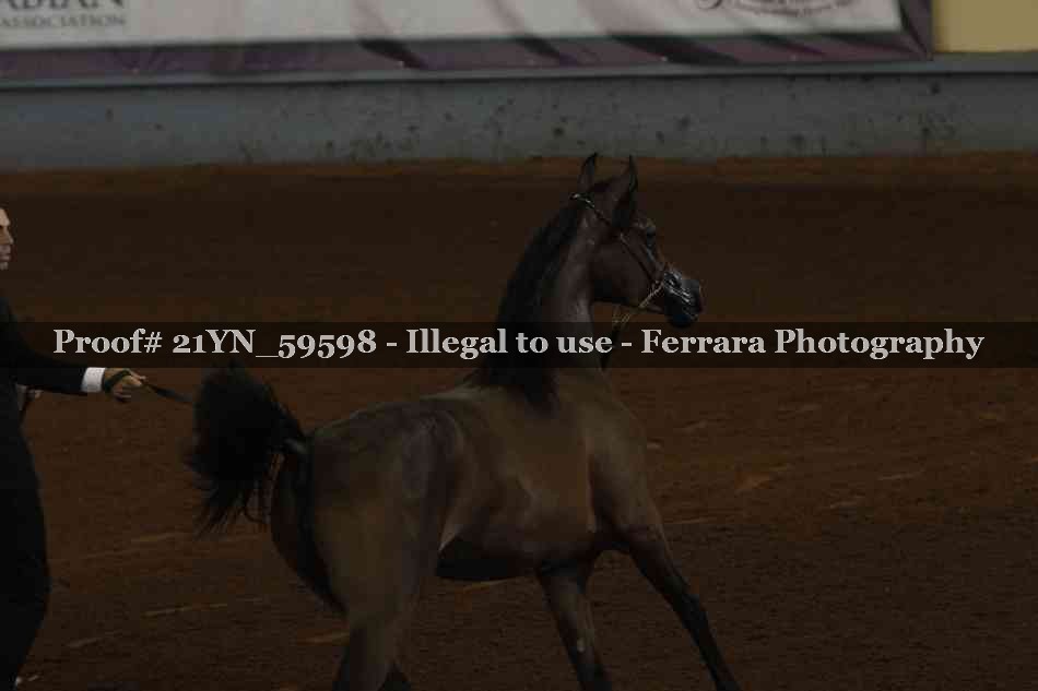 Proof 21YN_59598