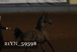 21YN_59598 proof
