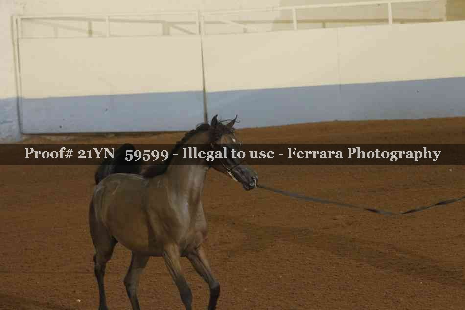 Proof 21YN_59599