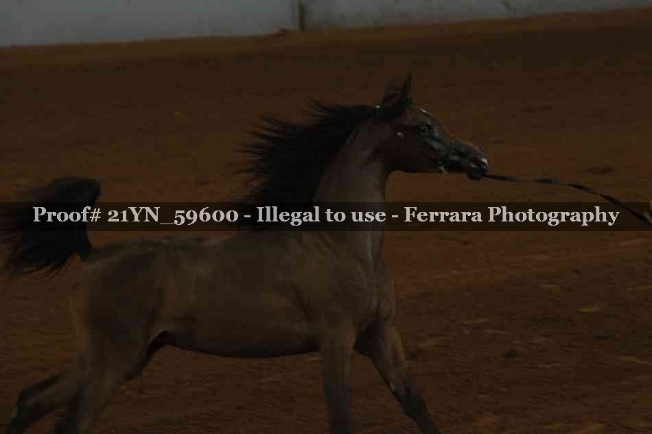 Proof 21YN_59600