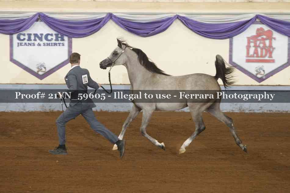 Proof 21YN_59605