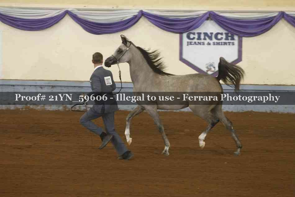 Proof 21YN_59606