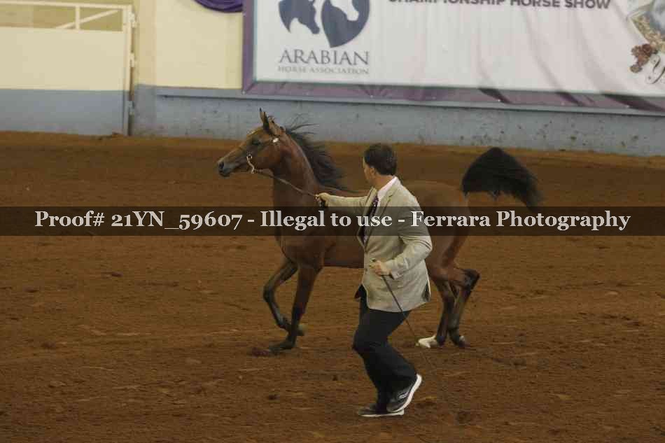 Proof 21YN_59607