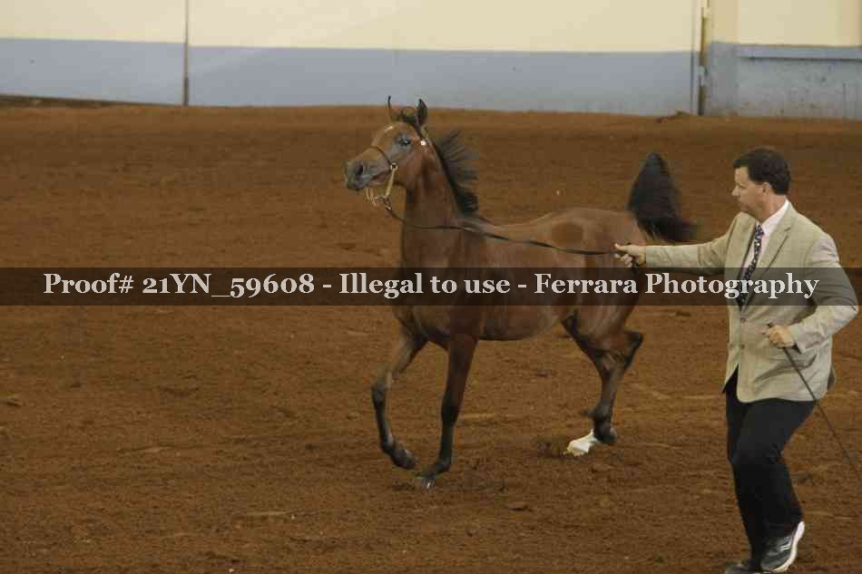 Proof 21YN_59608
