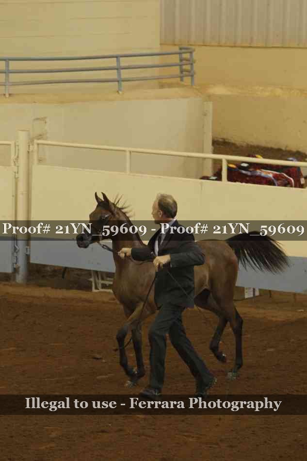 Proof 21YN_59609