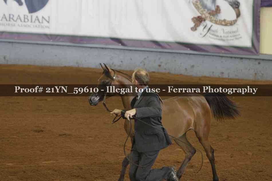 Proof 21YN_59610