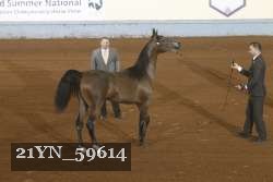 21YN_59614 proof