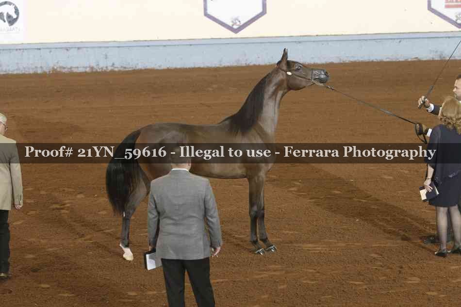 Proof 21YN_59616