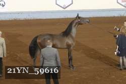 21YN_59616 proof