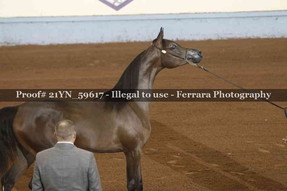 Proof 21YN_59617