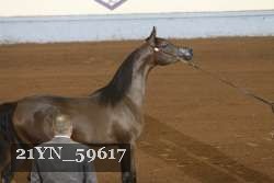 21YN_59617 proof