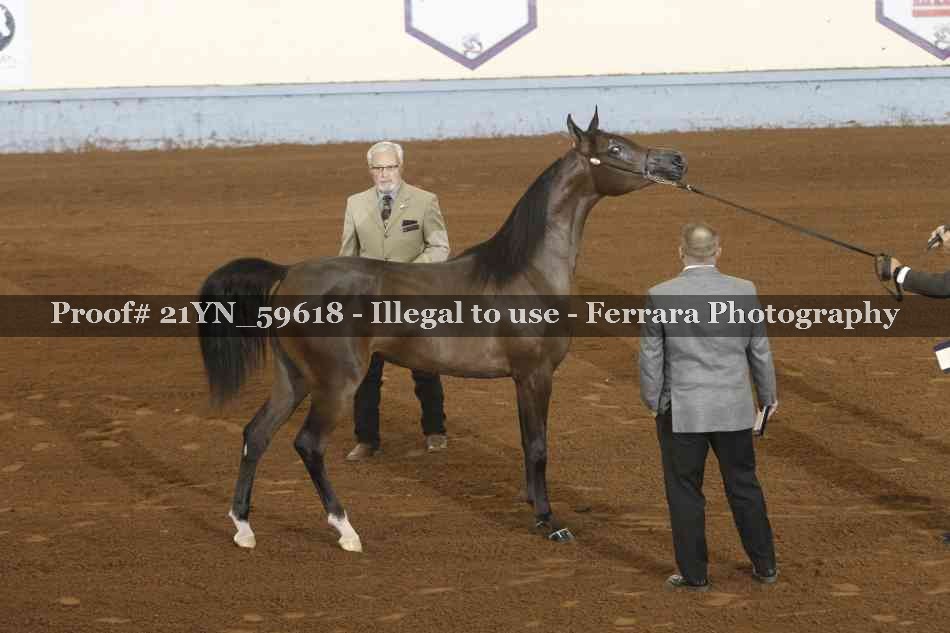 Proof 21YN_59618