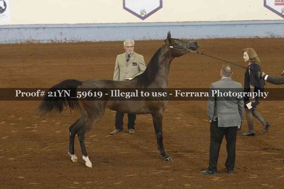 Proof 21YN_59619