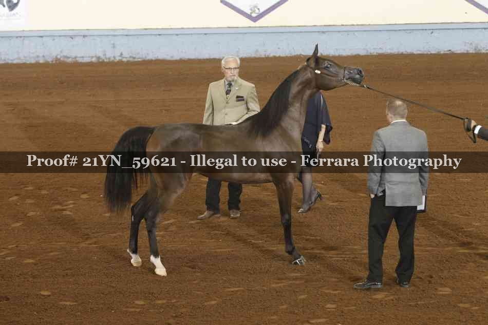 Proof 21YN_59621