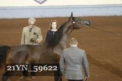 21YN_59622 proof