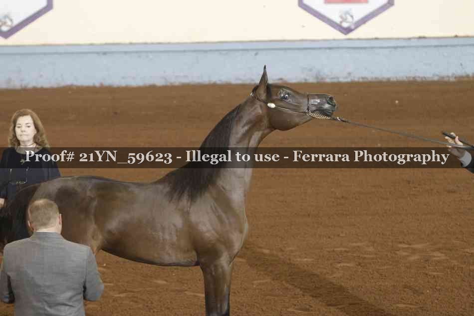 Proof 21YN_59623