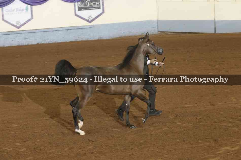 Proof 21YN_59624