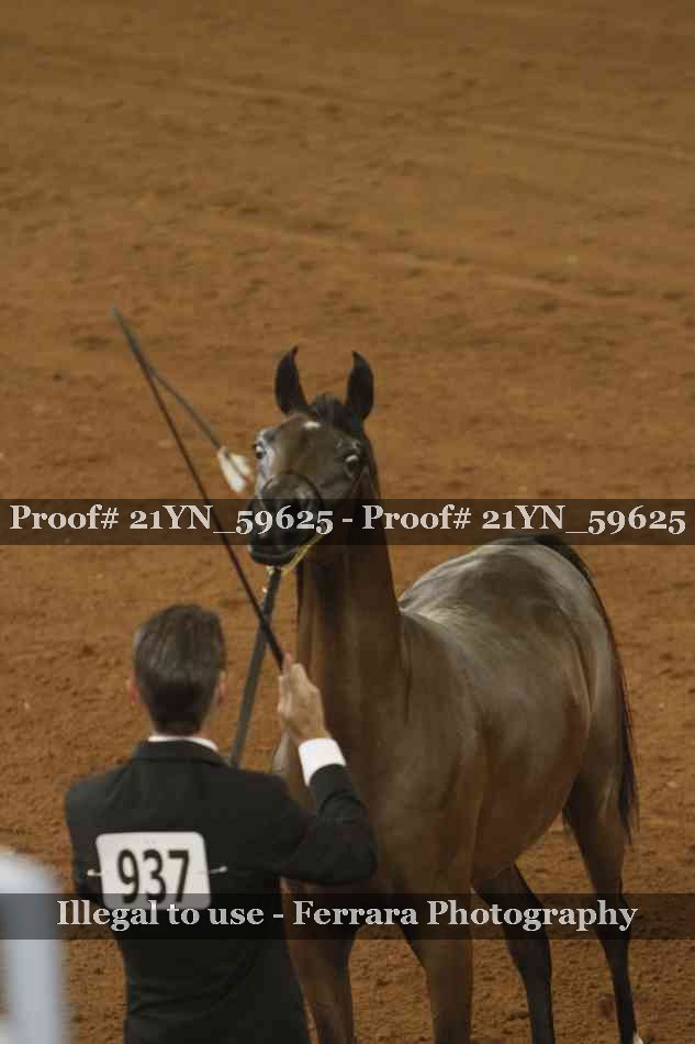 Proof 21YN_59625