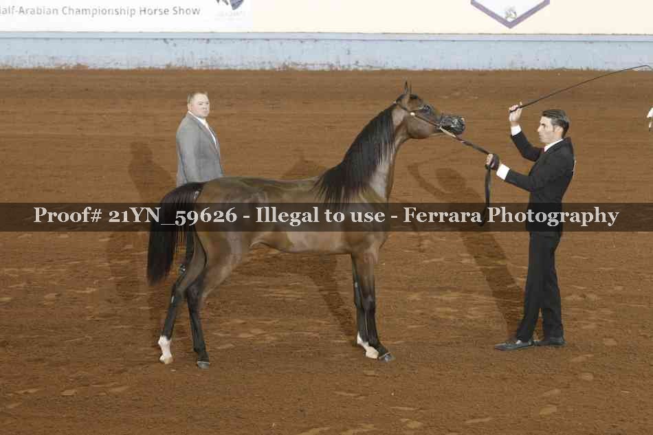 Proof 21YN_59626